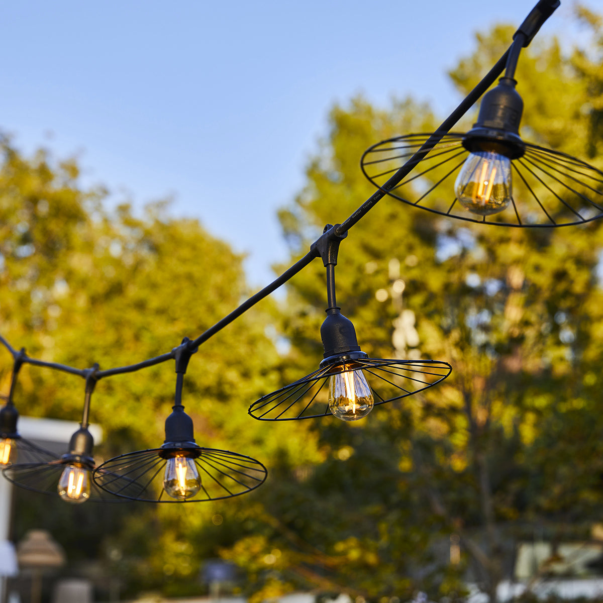 Caged outdoor deals string lights