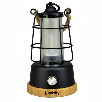 Kabellose Laterne mit Seilgriff warmweiße LED / dimmbar WILDY H23cm