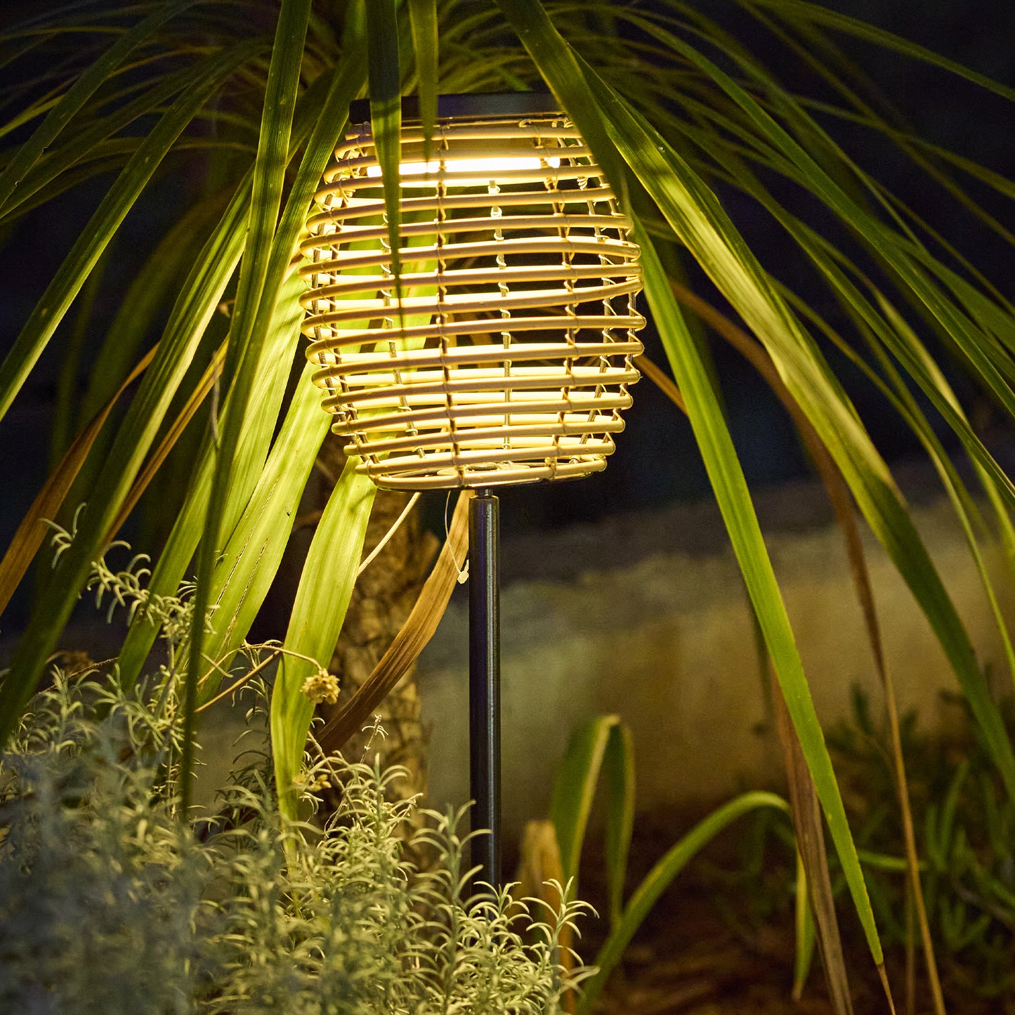 Lot de 2 balises solaires 2x BAVINA en poly rotin avec module LED solaire et télécommande H71.5cm