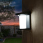 Lot de 2 projecteurs solaires applique mural LED blanc 2X LUSTY H18 cm avec détecteur de mouvement