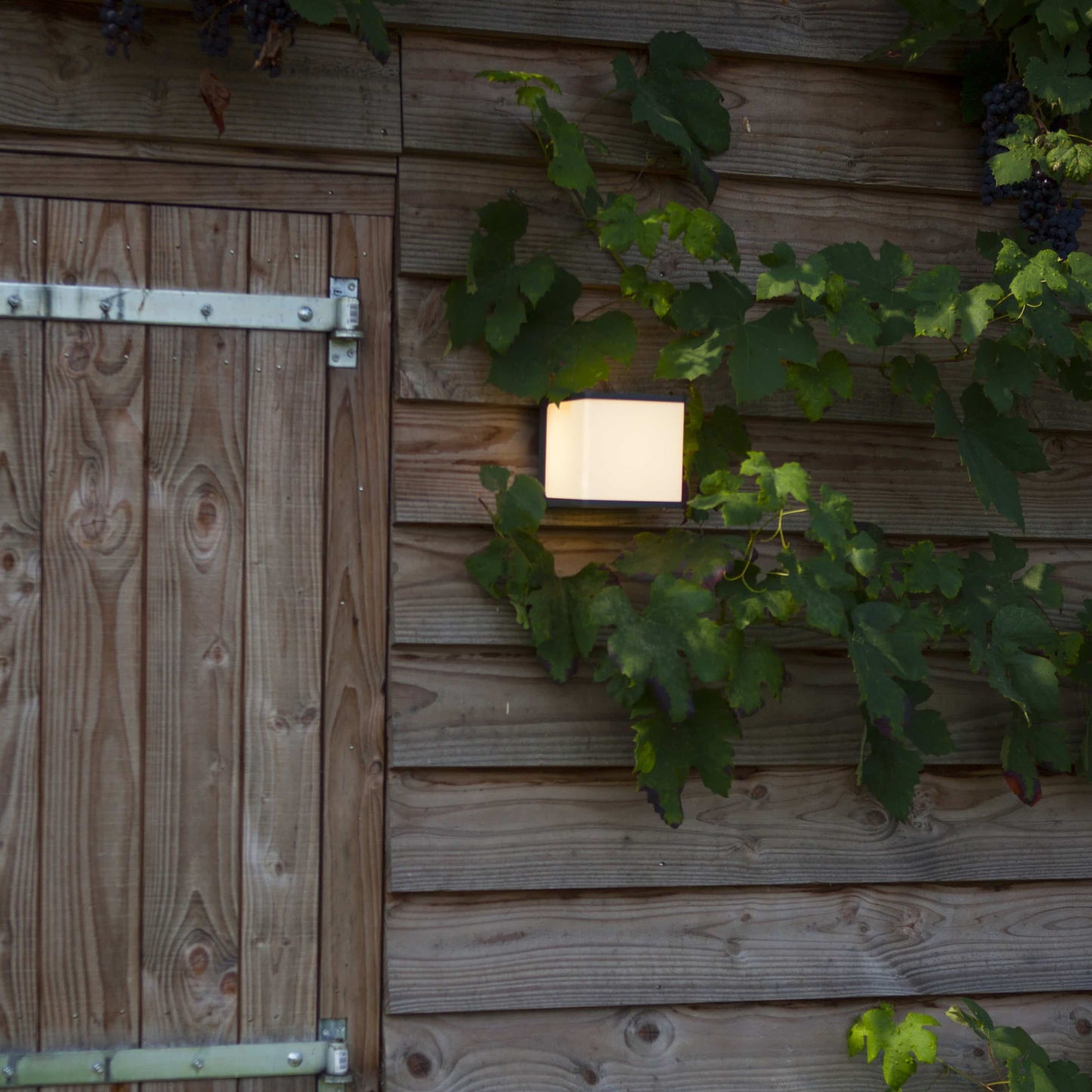Applique murale d'extérieur sur secteur DOBLO CUBE GREY aluminium gris LED blanc neutre H10cm