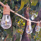 Solar rope light garland 10 warm white LED transparent bulbs FANTASY CORD SOLAR 7.45m