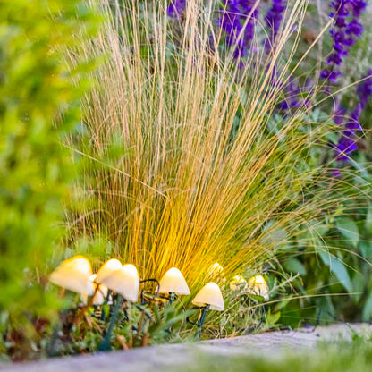 10 solar-powered mini-mushrooms to stick in CHAMPY driveway marking warm white LED 3.8m