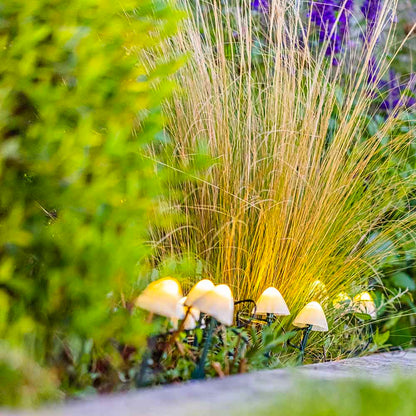 10 solar-powered mini-mushrooms to stick in CHAMPY driveway marking warm white LED 3.8m