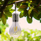 Lot de 3 ampoules filaments solaires à suspendre avec pince LED blanc chaud FILAMENT EDISUN H17cm - REDDECO.com