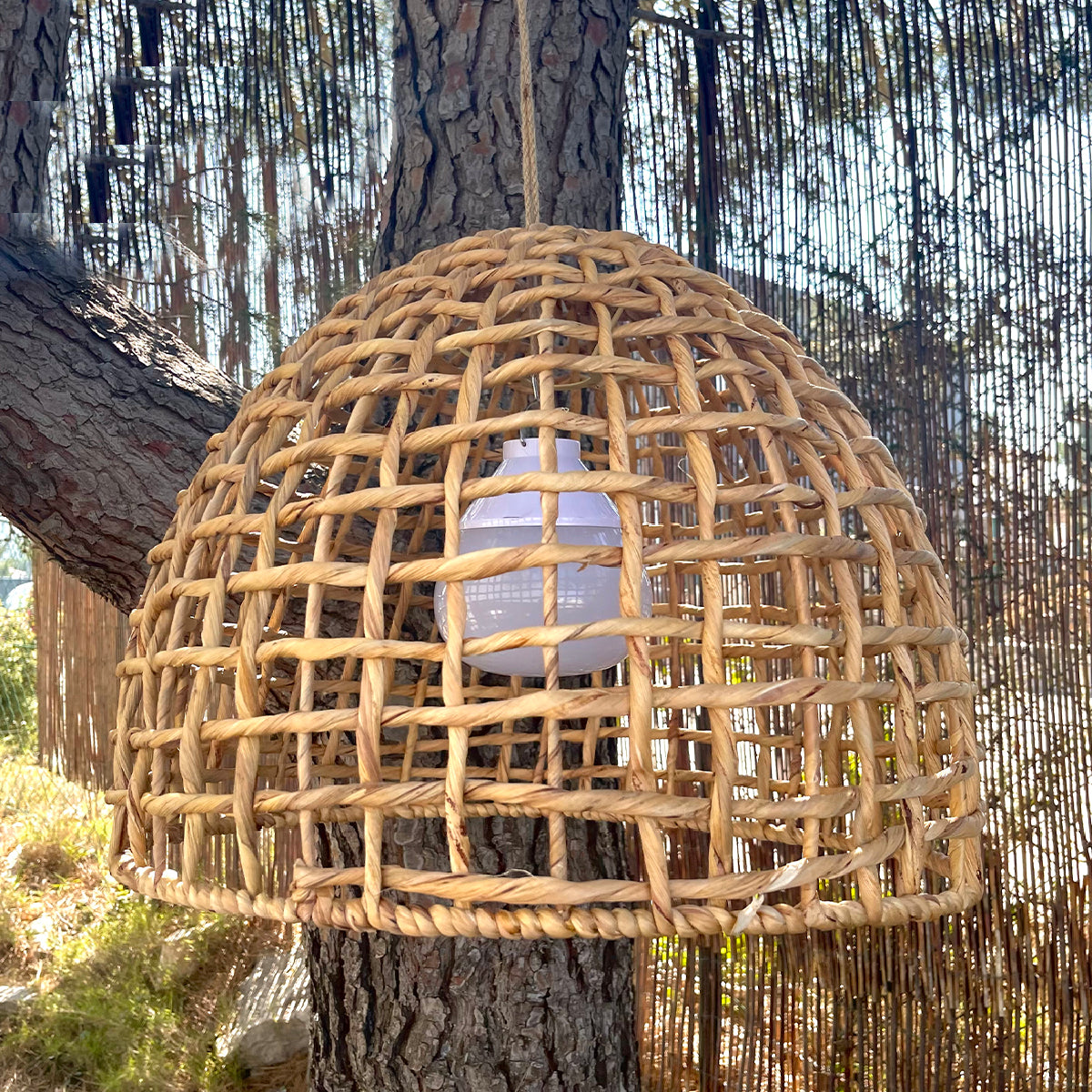 Suspension AMADEO NOMAD en jacinthe d'eau naturelle style bohème avec ampoule LED nomade